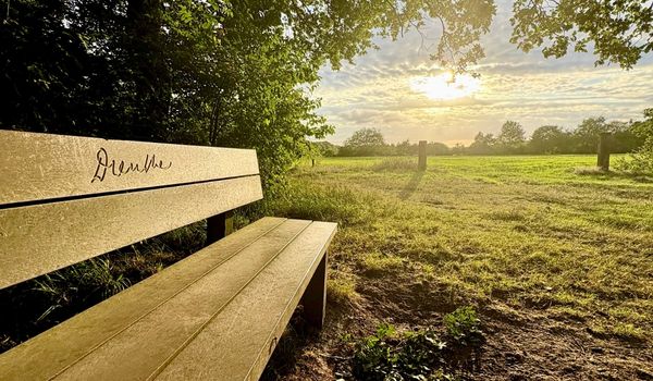 Last-minute vakantie boeken naar Drenthe